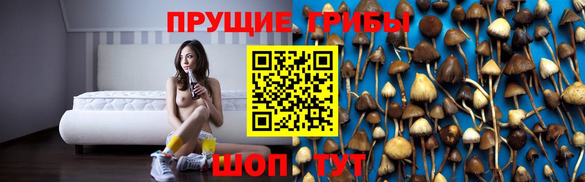 Грозный  Галлюциногенные грибы MAGIC MUSHROOMS  Вход с VPN  Псилоцибиновые грибы Psilocybe 