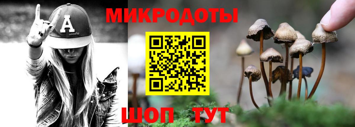 Псилоцибиновые грибы мухоморы Грозный
